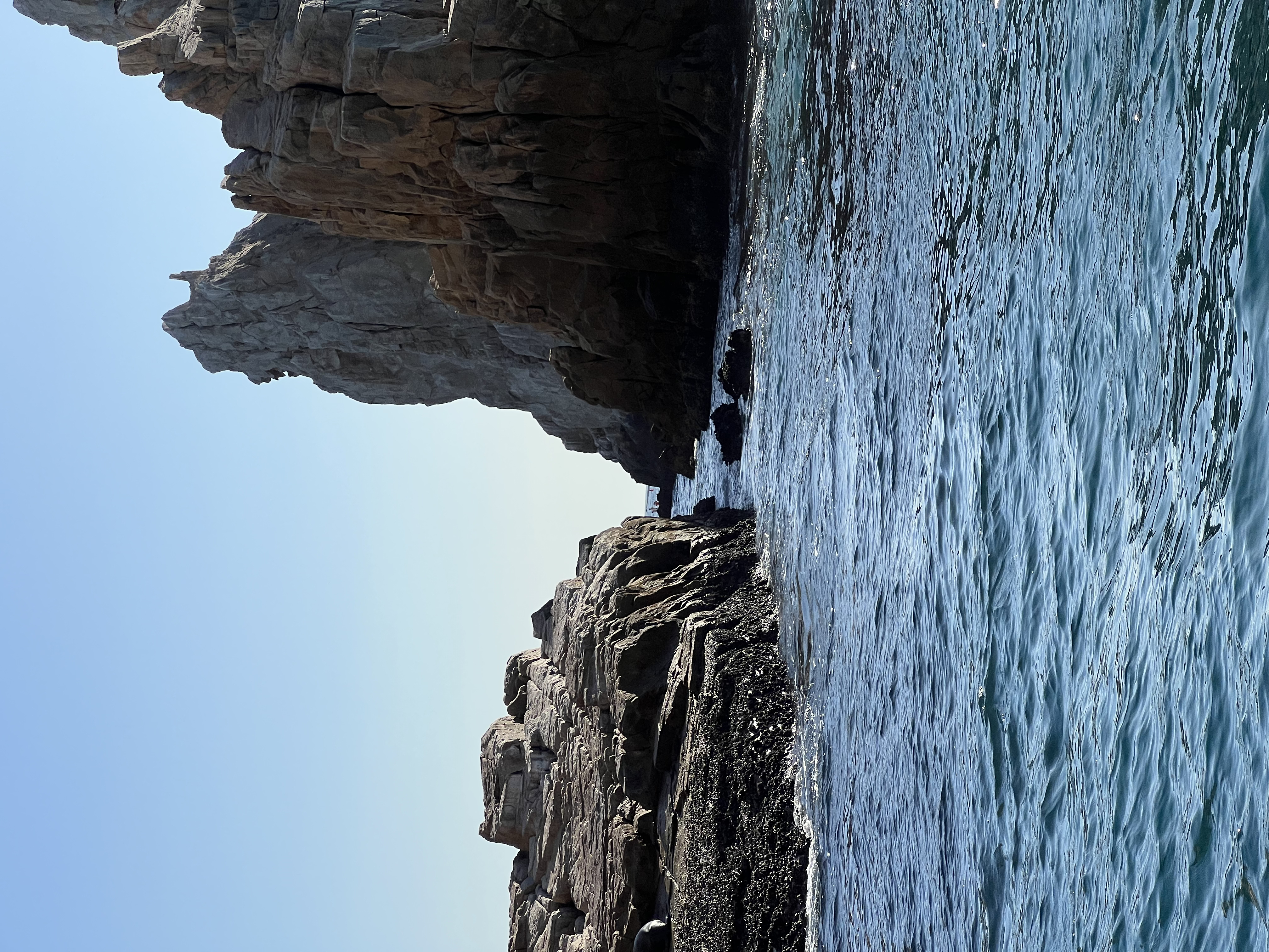 ./2024/13 - Cabo/IMG_4645.jpg